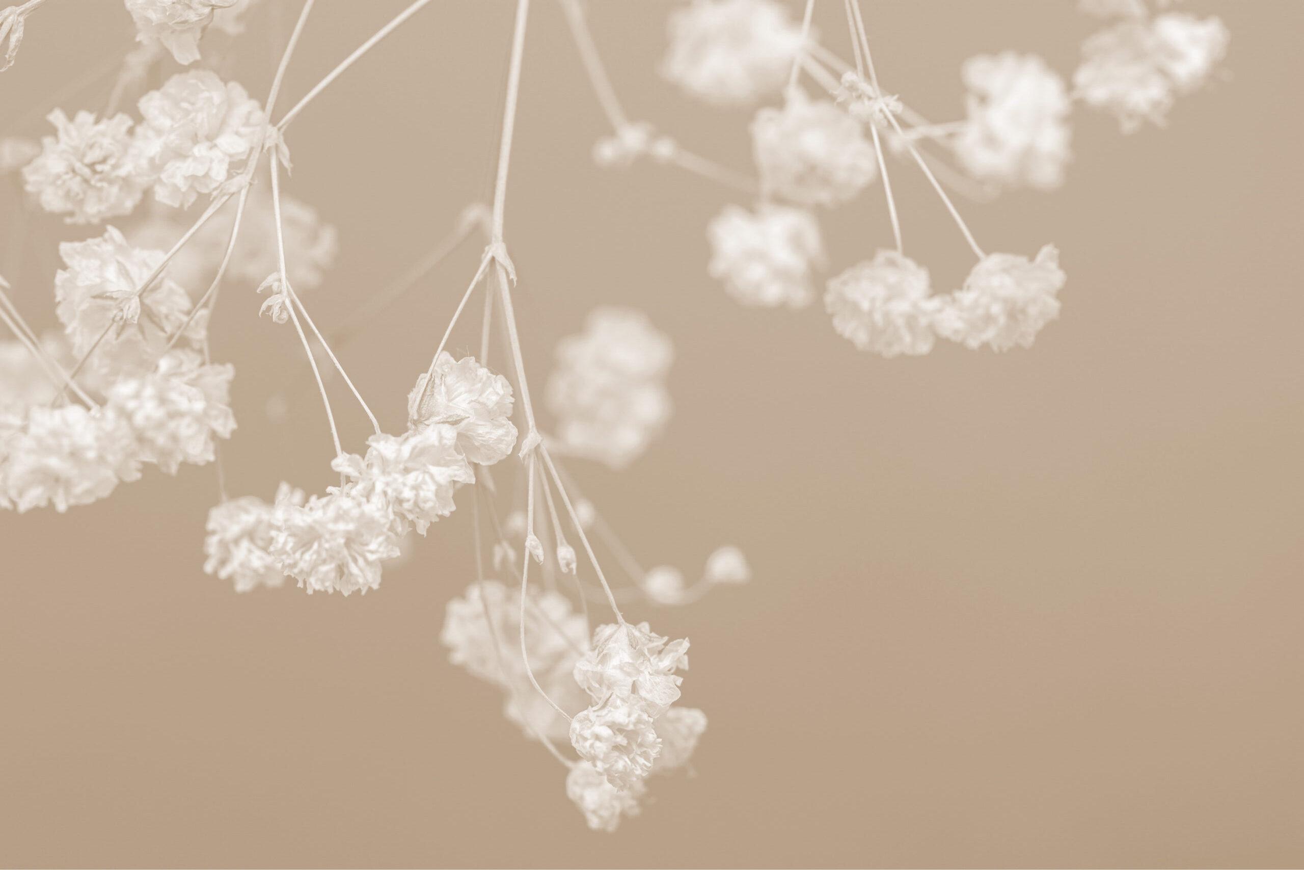 Glücksmoment Brautmode in Oldenburg Hintergrundbild2