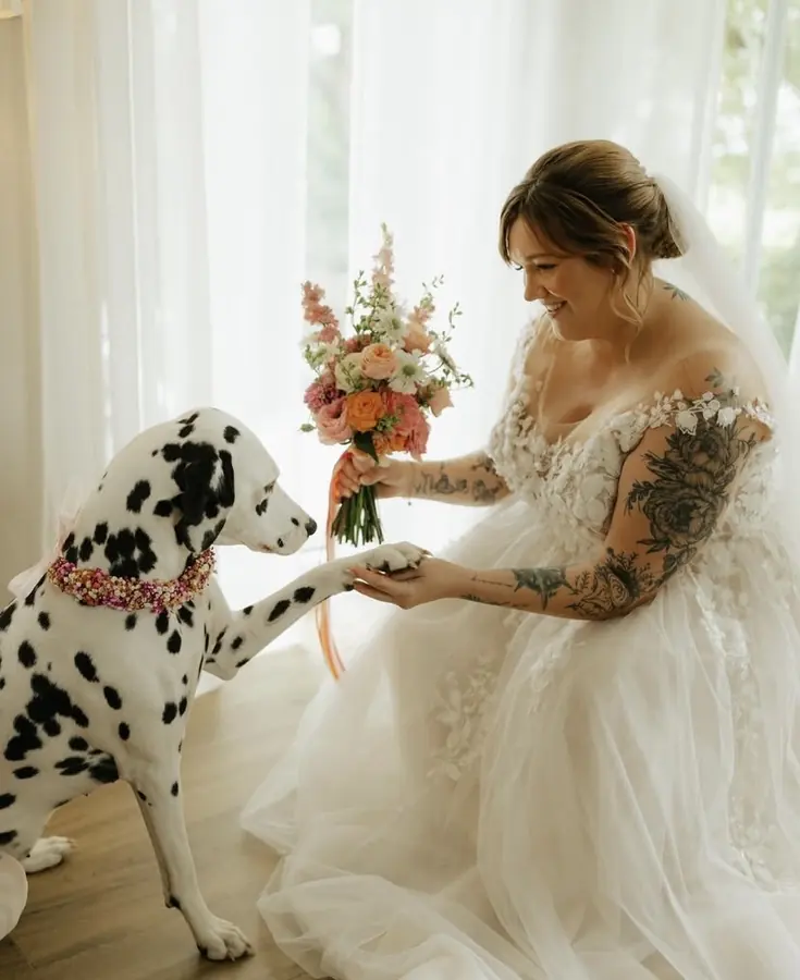 Brautkleid: Tüll, Spitze und ein Dalmatiner – Glücksmoment Brautmode Oldenburg